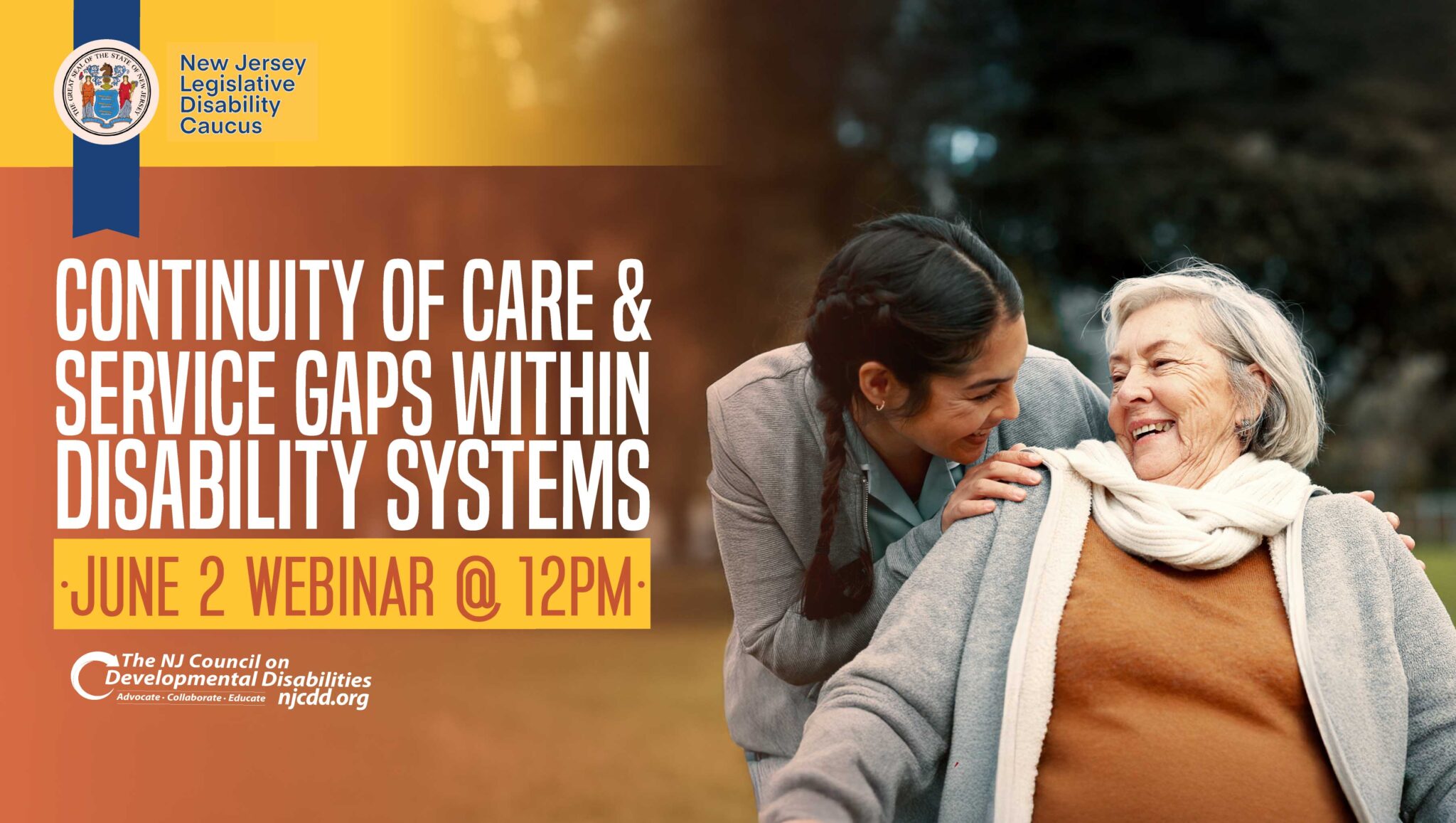 Disabilities System Continuity of Care & Service Gaps Within Disability Systems – The New ...